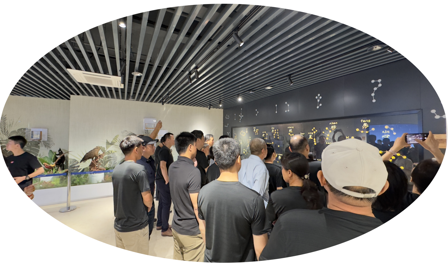 屏幕截图 2024-07-07 162236.png