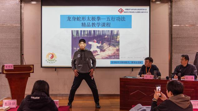 龙蛇太极.png