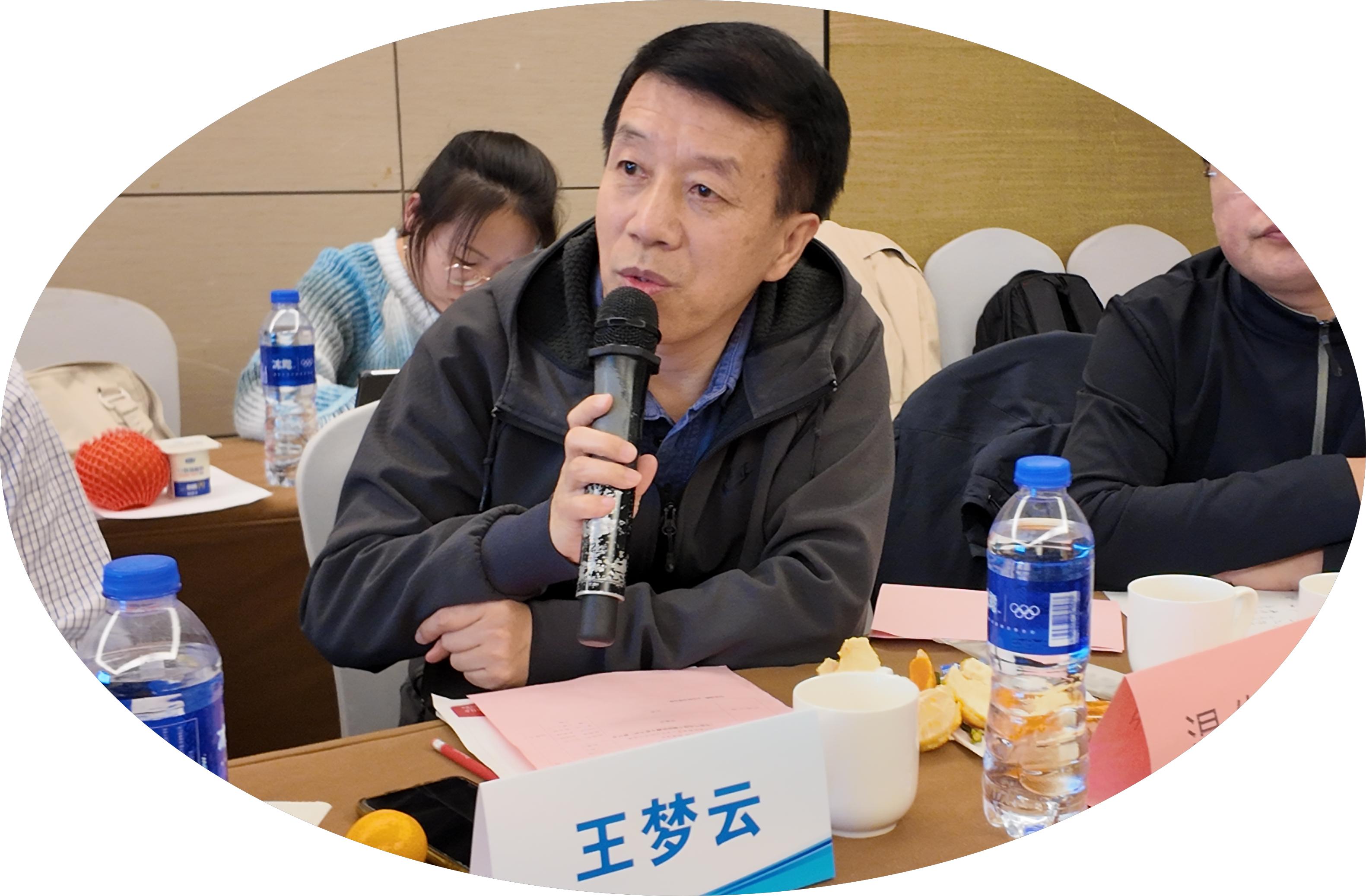 王梦 云.jpg