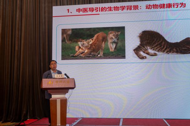 图片3.jpg 图片3.jpg